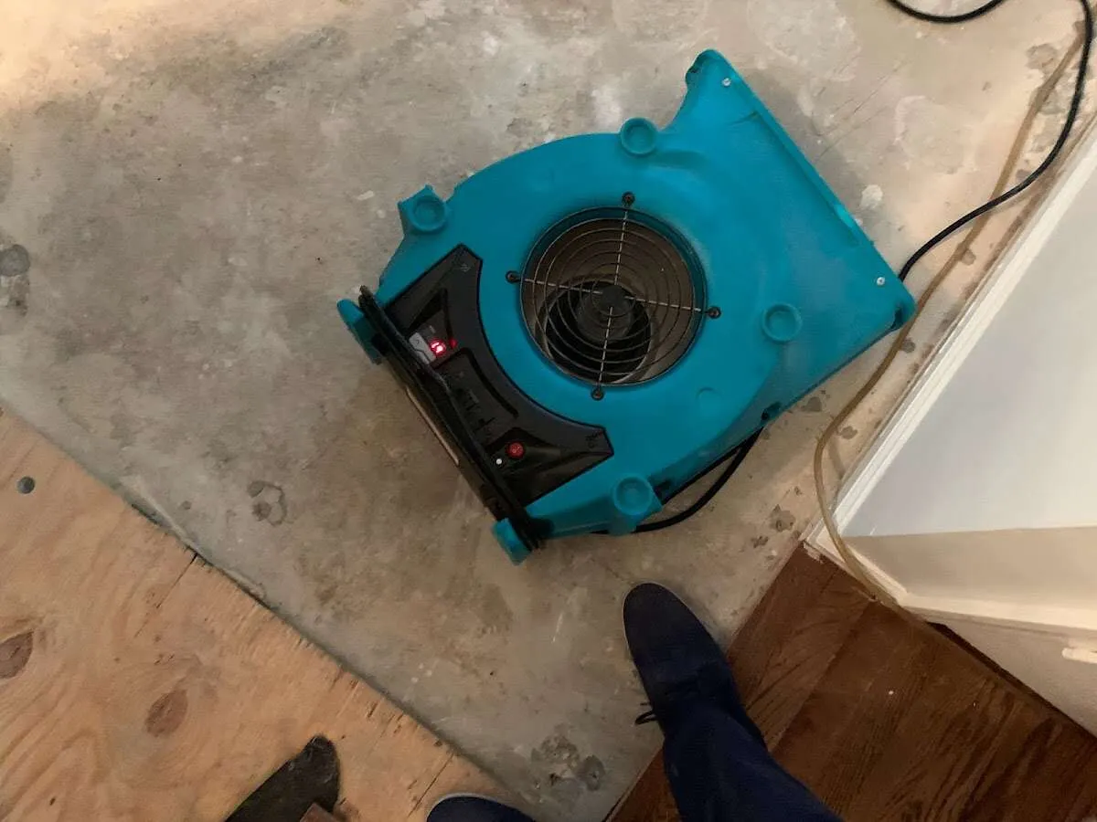 Air mover drying subfloor during Commercial Water Damage Restoration in SeaTac